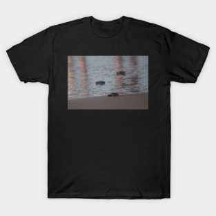 Hatchling III T-Shirt